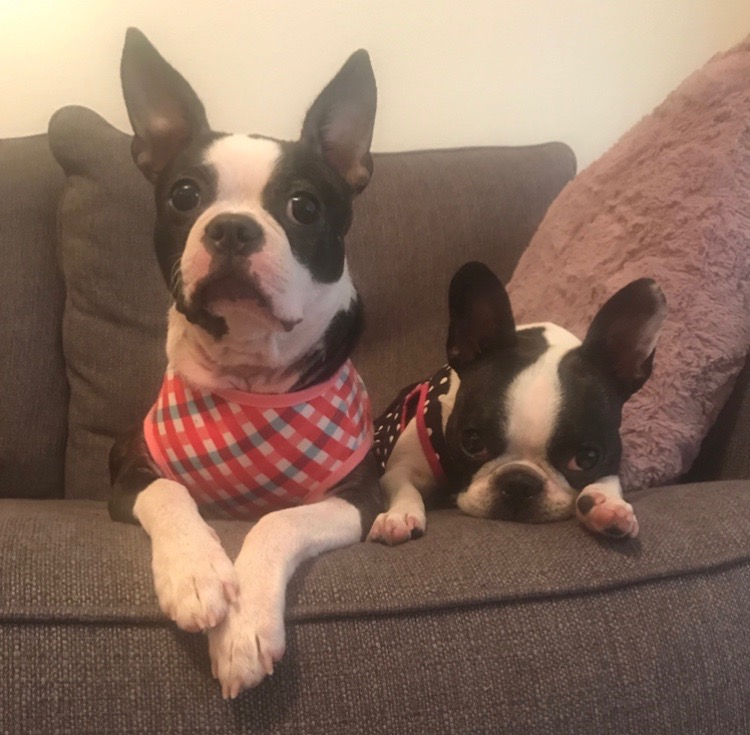 Tali and Quinn